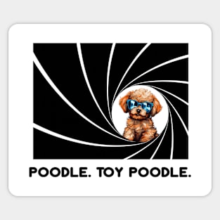 Poodle. Toy Poodle. Sticker